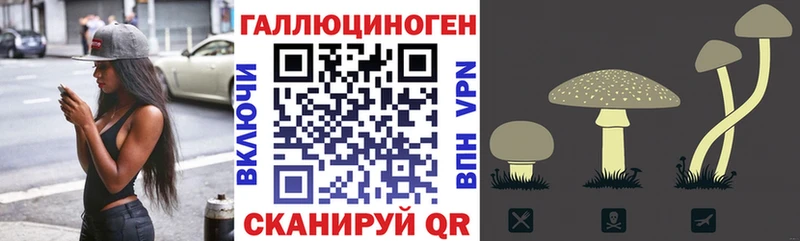 наркотики Эртиль Галлюциногенные грибы GOLDEN TEACHER